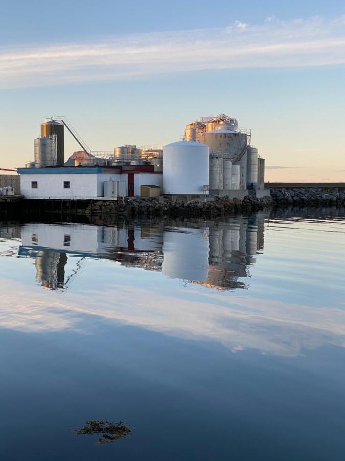 Nordlandshuset "Lottebakken", Ballstad In Lofoten 外观 照片