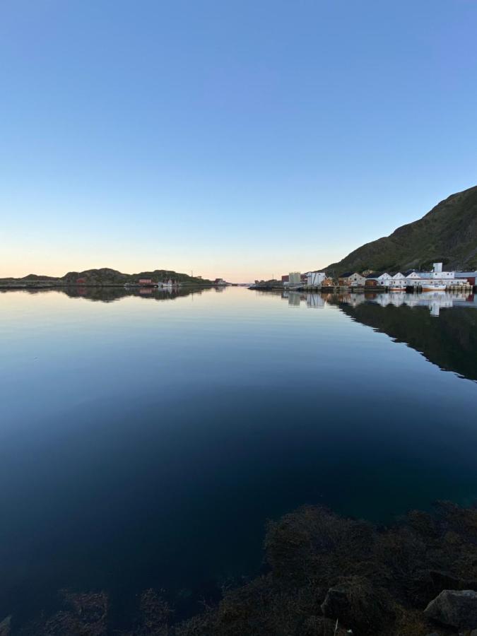 Nordlandshuset "Lottebakken", Ballstad In Lofoten 外观 照片